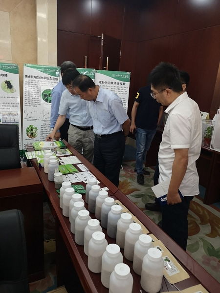 天敵昆蟲防控技術(shù)研發(fā)項(xiàng)目通過中期檢查，網(wǎng)絡(luò)技術(shù)賦能綠色農(nóng)業(yè)發(fā)展